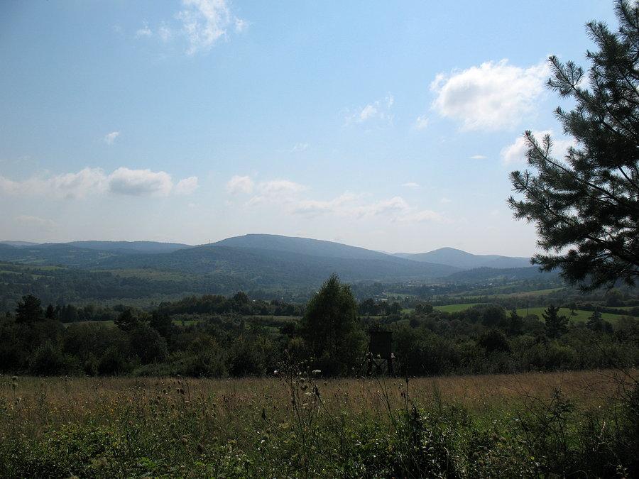Piotruś i Ostra