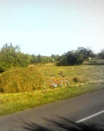A za kopeczką siana karesy, których stałem się przypadkowym świadkiem