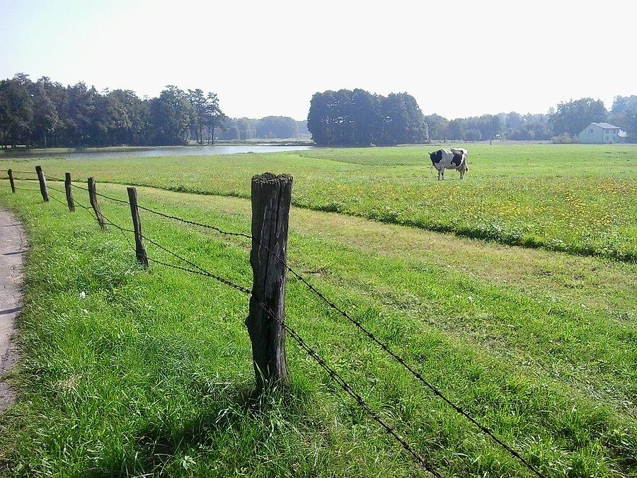 Siejskie widoki
