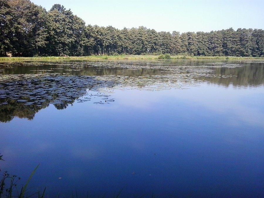 Trakt Czarnego Skarbu - Warszowice