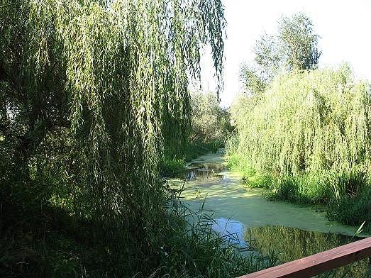 Okolice Nepomuka