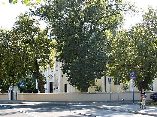 Sanktuarium Matki Bożej Tęskniącej w Powsinie- 600 lat tego kościoła minęło w 2010 roku
