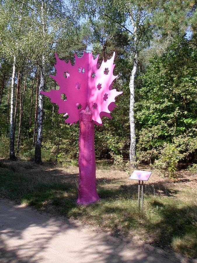 Różowe drzewo? Chyba drugą noc jadę w BBTour