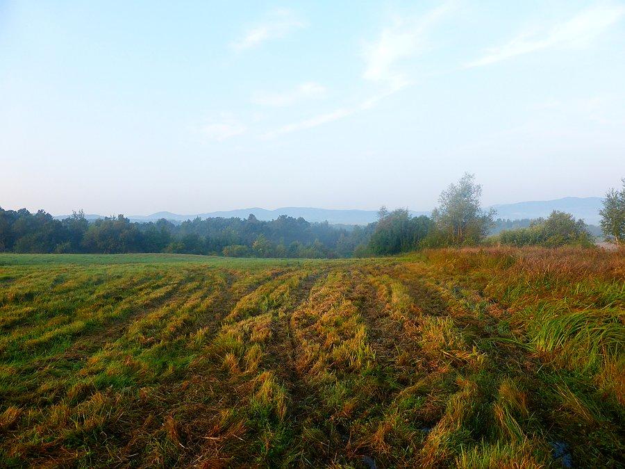 I już jasno