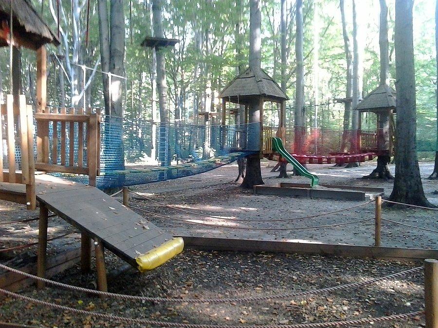 Park Leśny w Radlinie