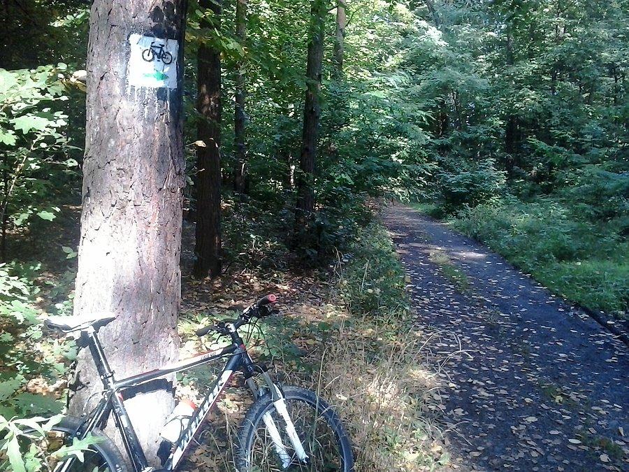 Na zielonym szlaku Radlin-Obszary - Orzepowice