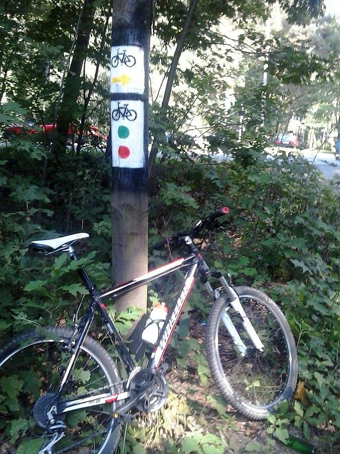 Przystań "Kotwica" w Orzepowicach - skrzyżowanie rybnickiech tras rowerowych
