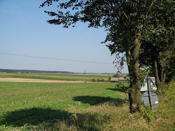 Pola koło Bystrzejowic