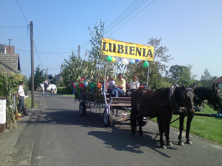 Dojechały Lubienia