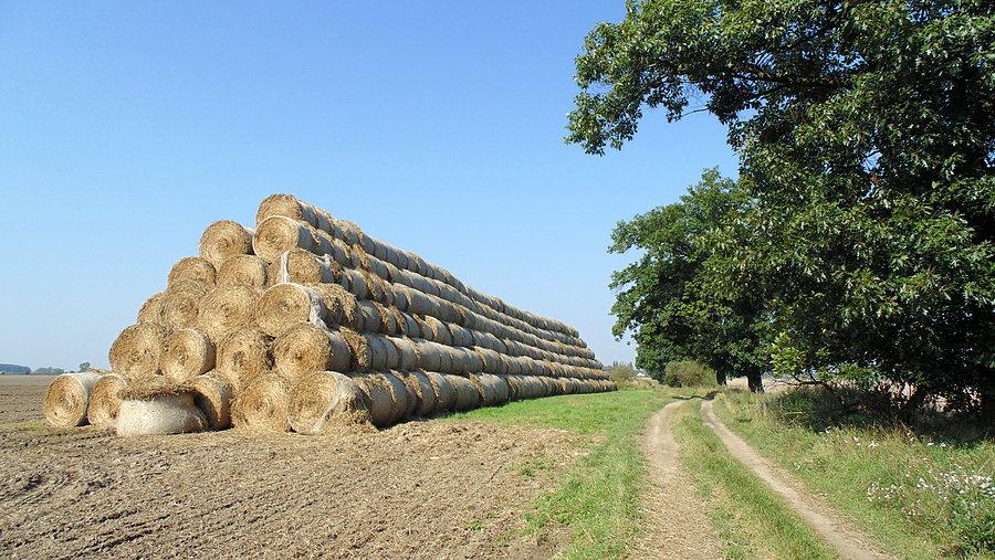 Bróg słomy - ok. 750 sztuk