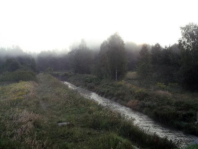 Poranne mgły 1
