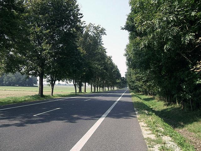 Przyjemna droga