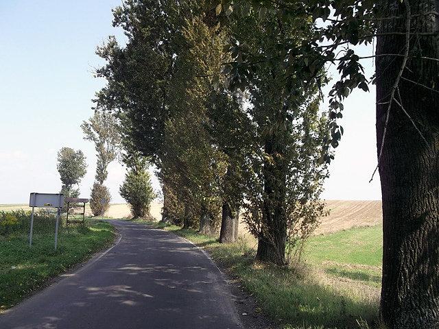Boczna droga na Błotnicę Strzelecką