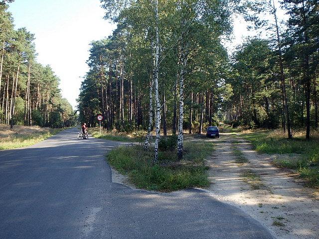 Asfaltowa i szutrowa Puszcza;)