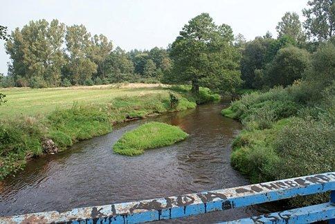 Między Afryką a Skórkowicami