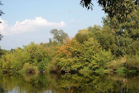 Wczesno jesienny widok nad Pilicą
