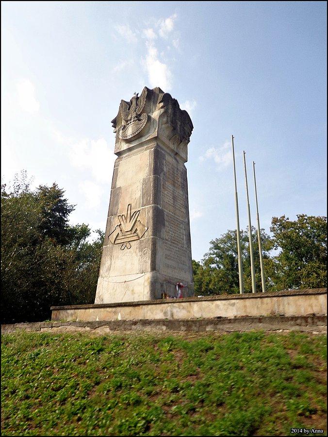 Http://pl.wikipedia.org/wiki/Skurcza