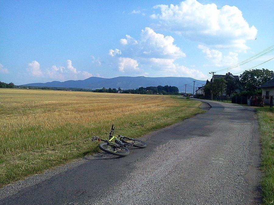 Ropice