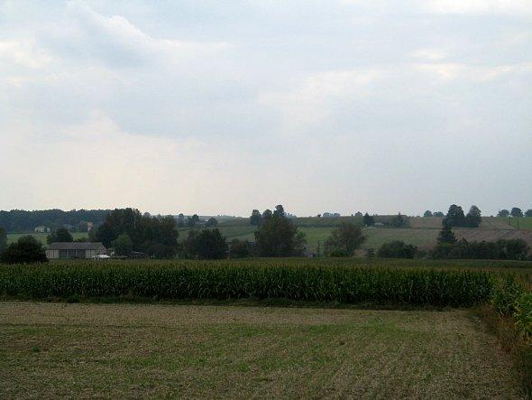 Widoki