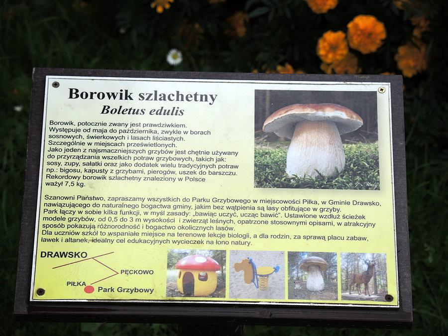 Tabliczka informacyjna