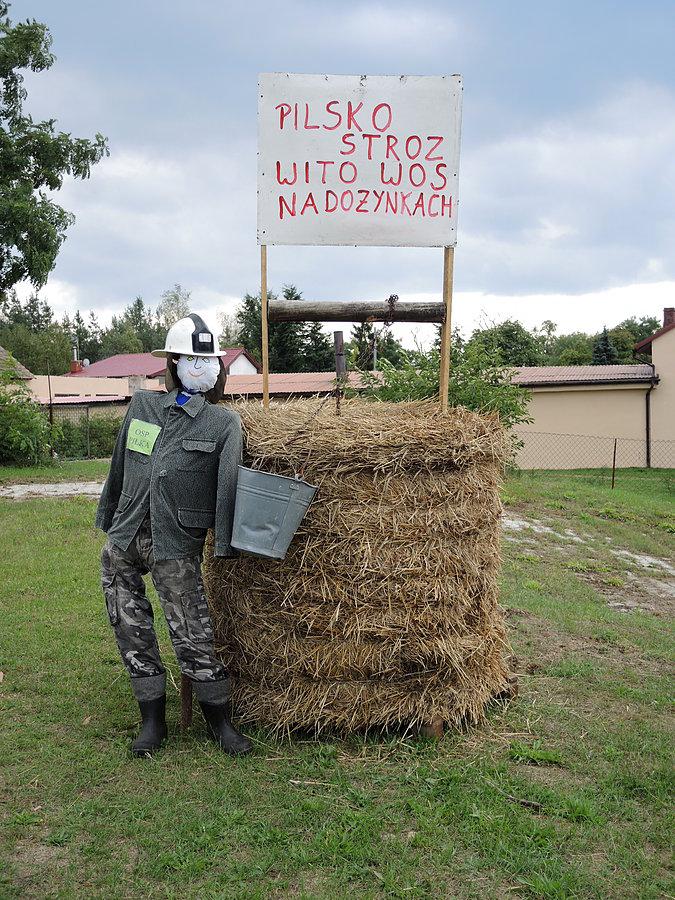 Dożynki 2014 w Piłce - dekoracje