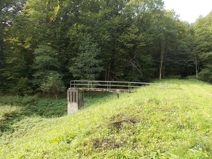 Gdzieś na elbląskiej Modrzewinie