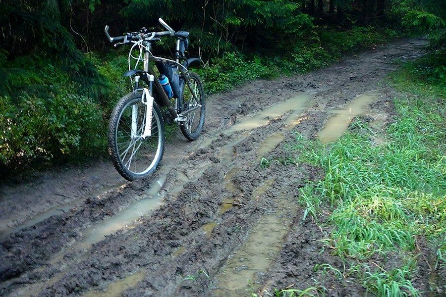 Błotnisty szlak z Krawcowego na Trzy Kopce