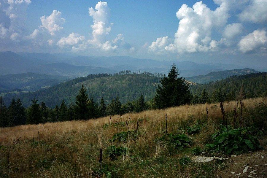Widoczek