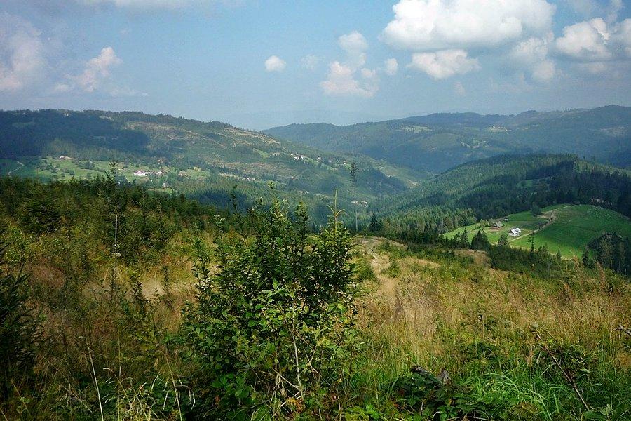 Widoczek