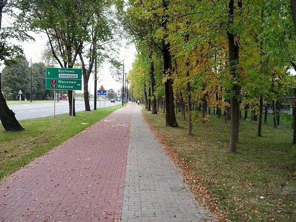 Ścieżka rowerowa i jesień