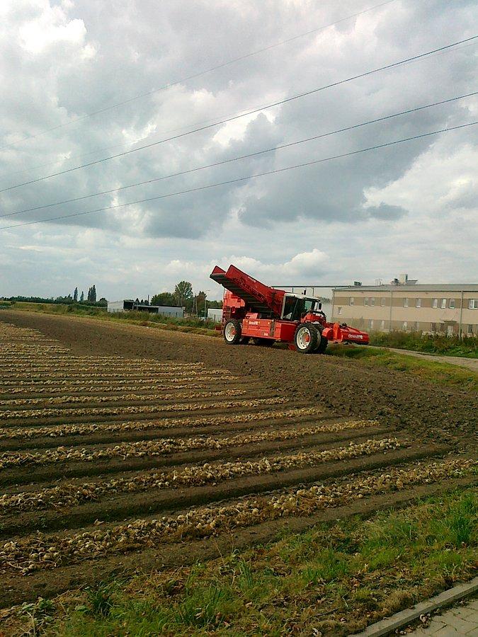 Kombajn do zbierania kur po wioskach...nie, tylko cebuli