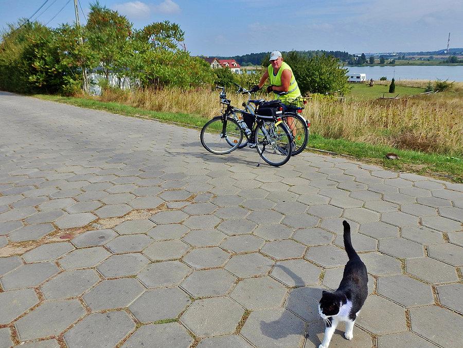 Na trasie wycieczki. Lubiszewo