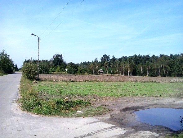 Droga w kirunku Krężnicy