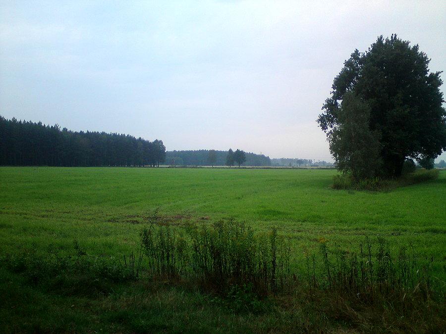 Stobrawa, przy wjeździe do lasu na Karłowice