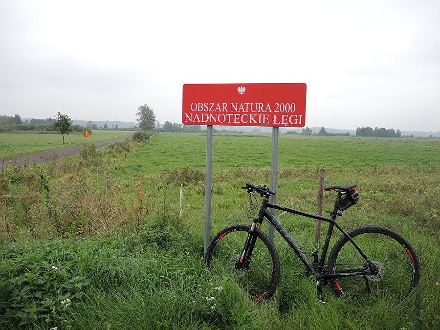 Obszar Natura 2000 - Nadnoteckie Łęgi
