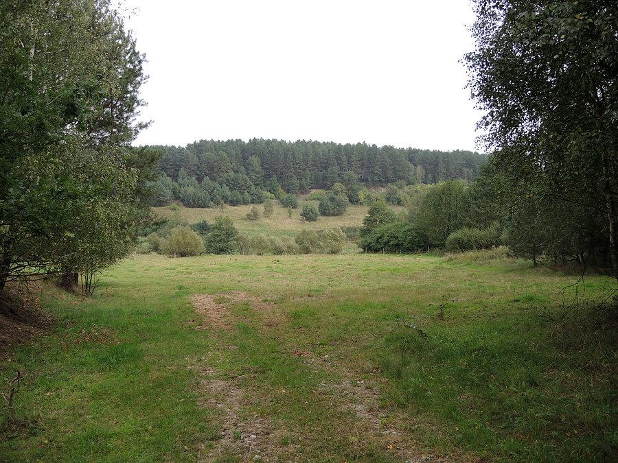 Widok na wzgórza w okolicy Teresina