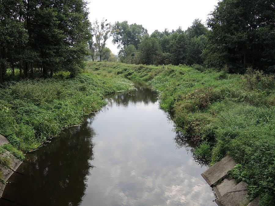 Widok na Trzcinicę za jazem