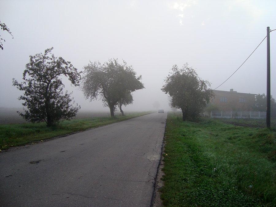 Gdzieś między Ostrowem a Kaliszem