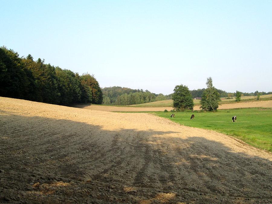 Kaszubskie widoki