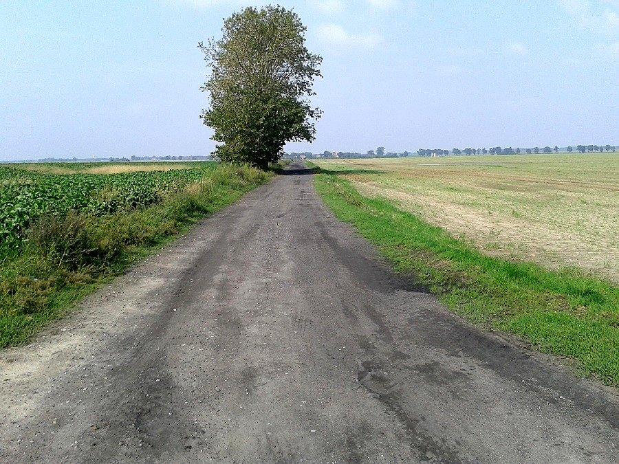 Barnim - Kurcewo