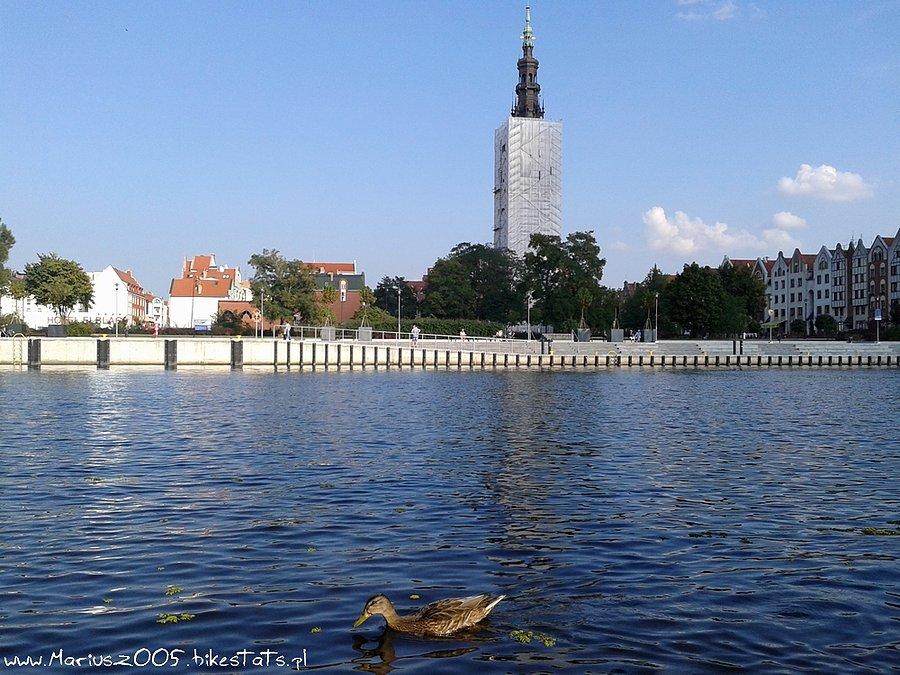 Elbląg