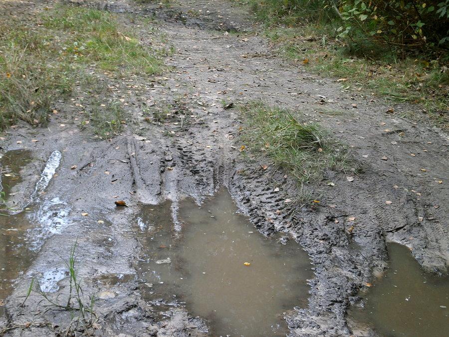 Błoto na Pogorii