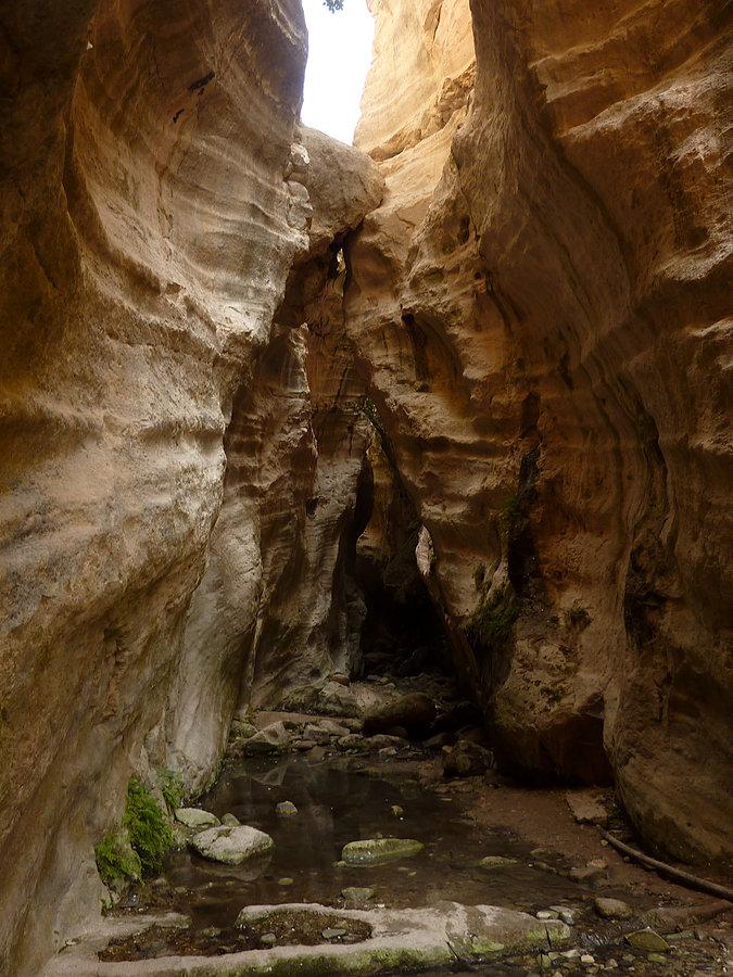Avakas Gorge. Niebrzydki zacieniony wąwóz to dobre miejsce na przeczekanie największych upałów