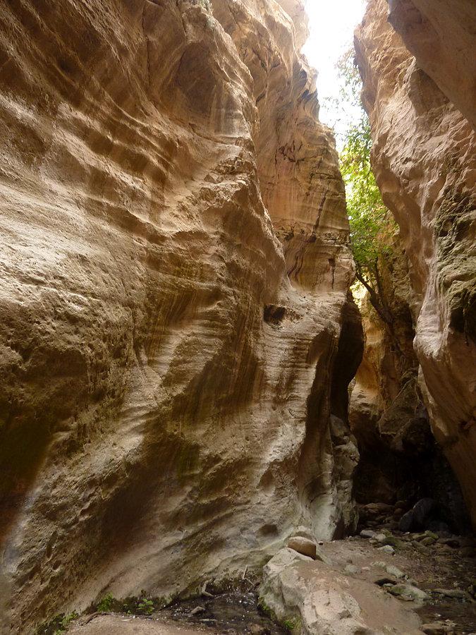 Avakas Gorge