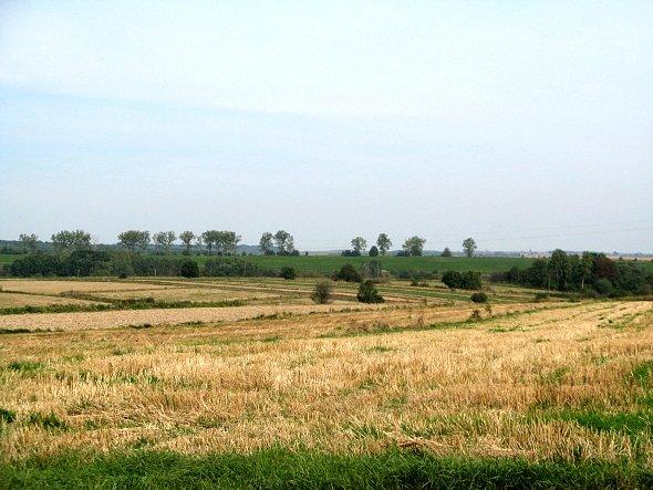 Pola koło Żółkiewki