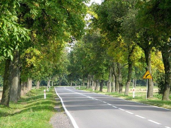 Droga w kierunku Żółkiewki