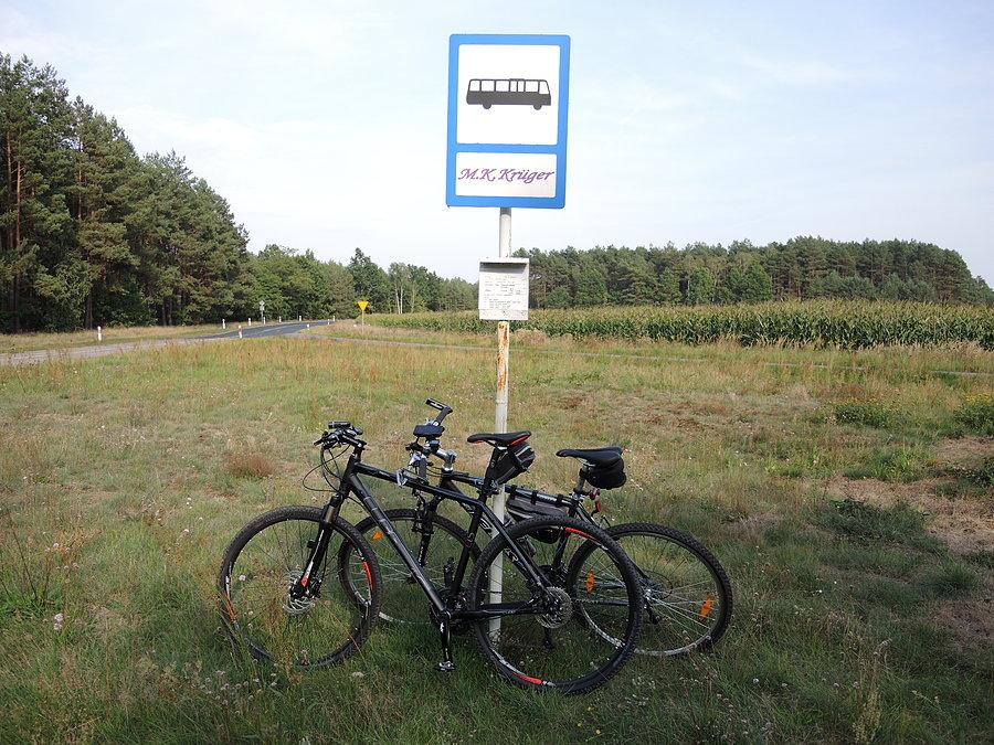 W drodze do Wielenia / rozjazd Wieleń - Trzcianka