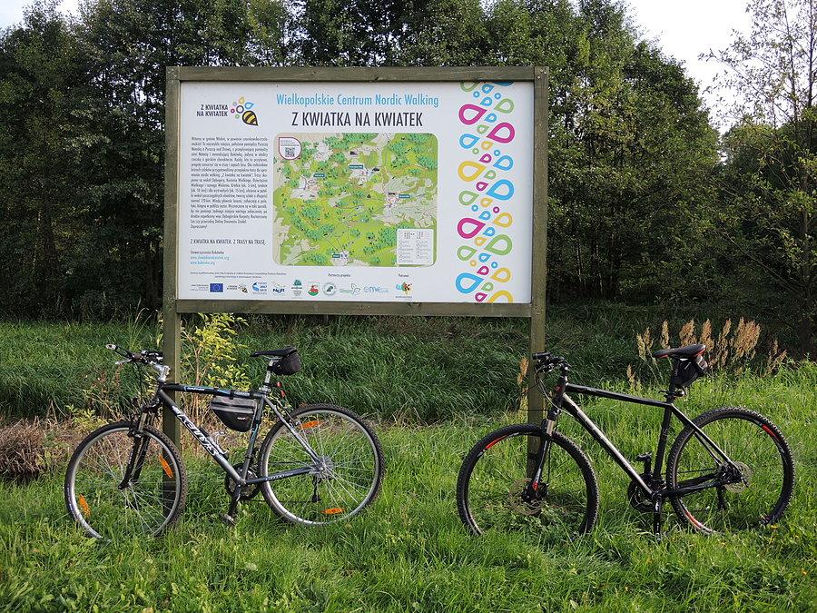 Kuźniczka - Wielkopolskie Centrum Nordic Walking (Z KWIATKA NA KWIATEK)