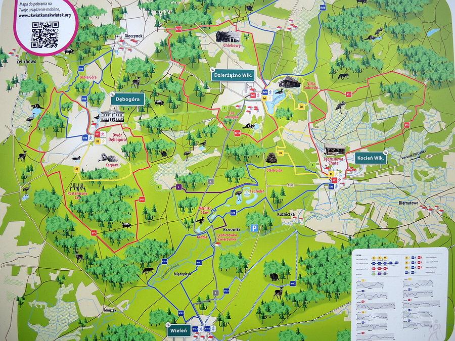 Kuźniczka - mapa szlaków Nordic Walking