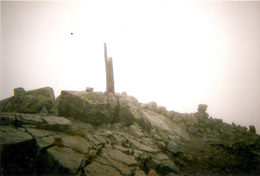 Na szczycie Kołowego 2425 m